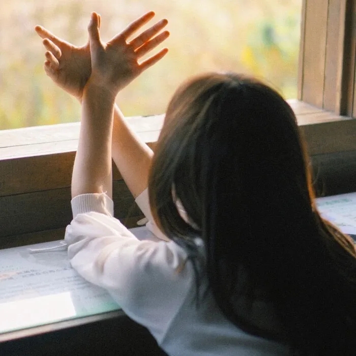 思家大战第二季